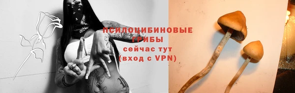 гашиш Беломорск